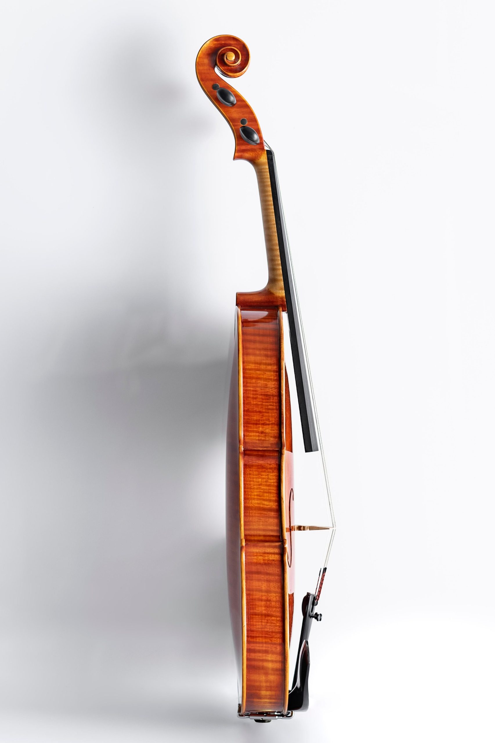 Bille-Viola-395©UlrikeSommer-7577-scaled.jpg