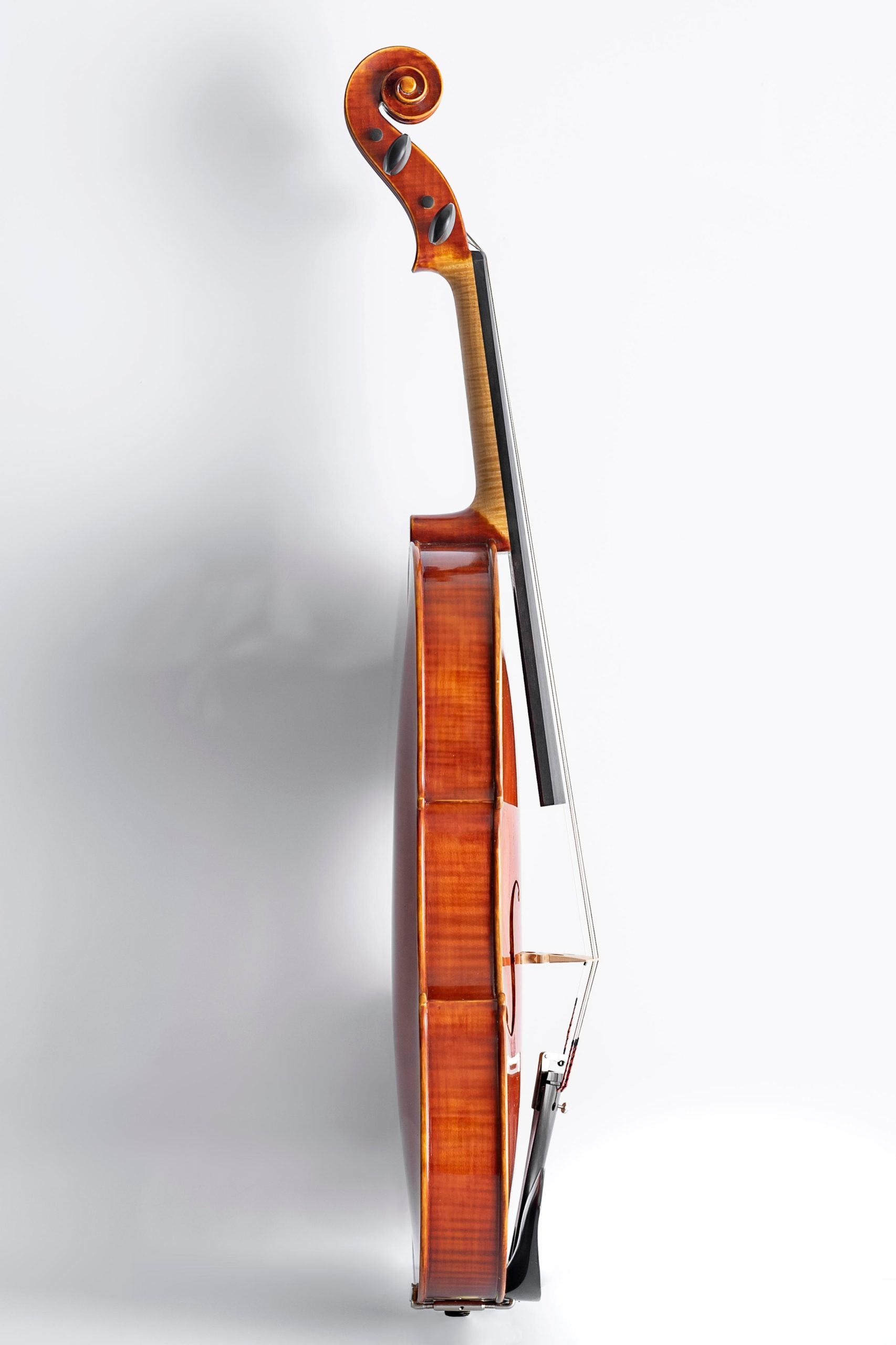 Bille-Viola-407©UlrikeSommer-7578-scaled.jpg