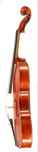 Chiesa_viola mod. Maggini 2024 (2)