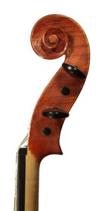 Chiesa_viola mod. Maggini 2024 (6)