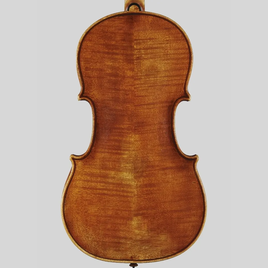 Viola Buccellè 2
