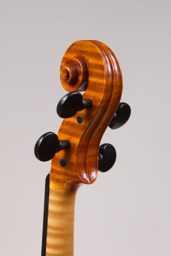 Viola2018_riccio_22