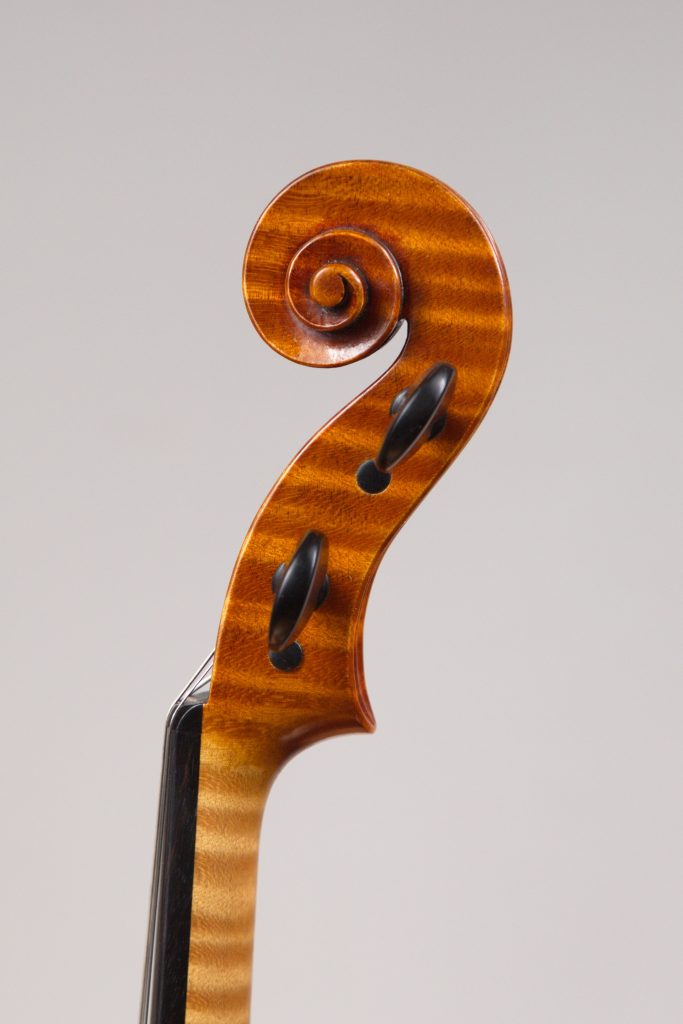 Viola2018_riccio_26