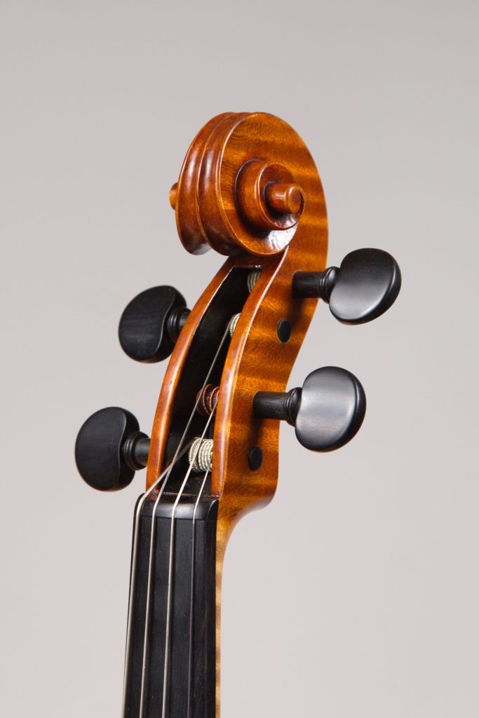 Viola2018_riccio_32