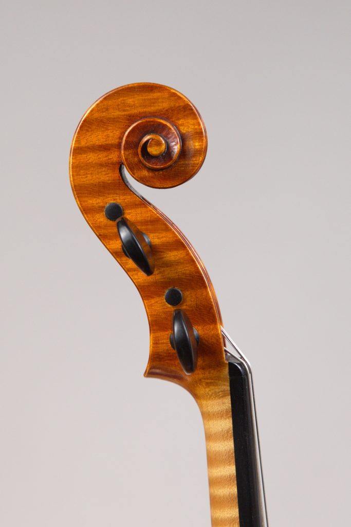 Viola2018_riccio_8