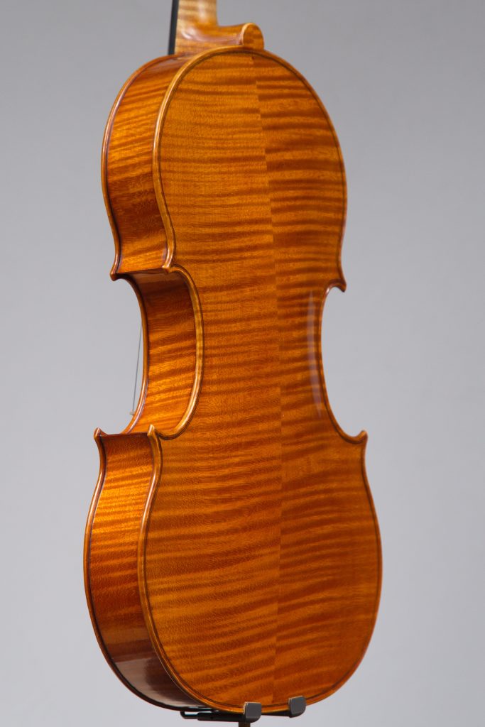 Viola_2018_Piasentini_Francesco_21
